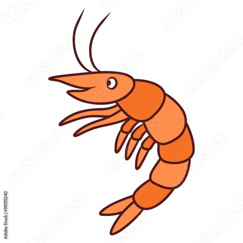 illustration of shrimp