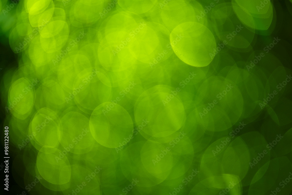 green blur background for Christmas card green blur background for Christmas card