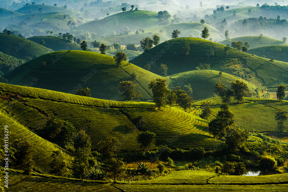Fototapeta premium landscape with mountains in Viet Nam