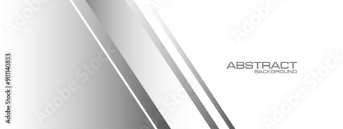 Abstract grey line slash overlap on white with blank space design modern luxury background vector