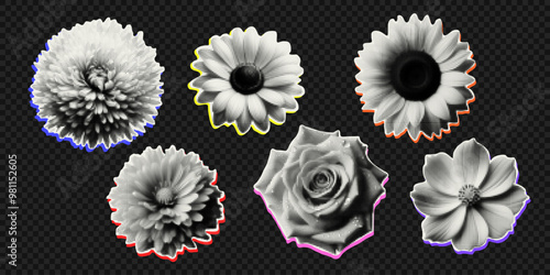 Vector autumn flowers isolated on transparent background. Trendy elements with a halftone effect for collage, poster, banner, cover design in y2k style.