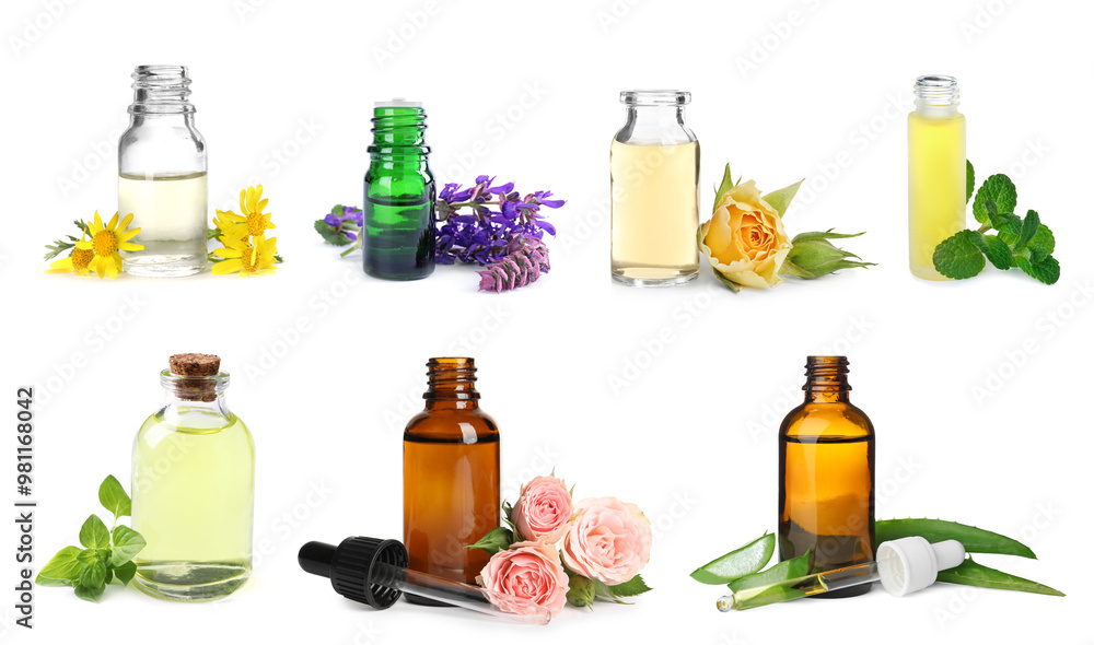 Set of different essential oils in bottles on white background. Oregano leaves, mint, aloe and other ingredients Set of different essential oils in bottles on white background. Oregano leaves, mint, aloe and other ingredients