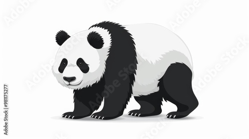 panda bear illustration