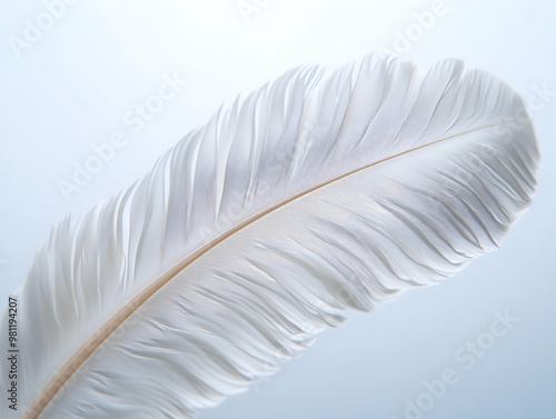 Elegant Soft Focus White Feather Close-Up - Delicate Blurred Edges Illustrating Lightness of Being for Janeiro Branco - Simple Flat Vector Concept