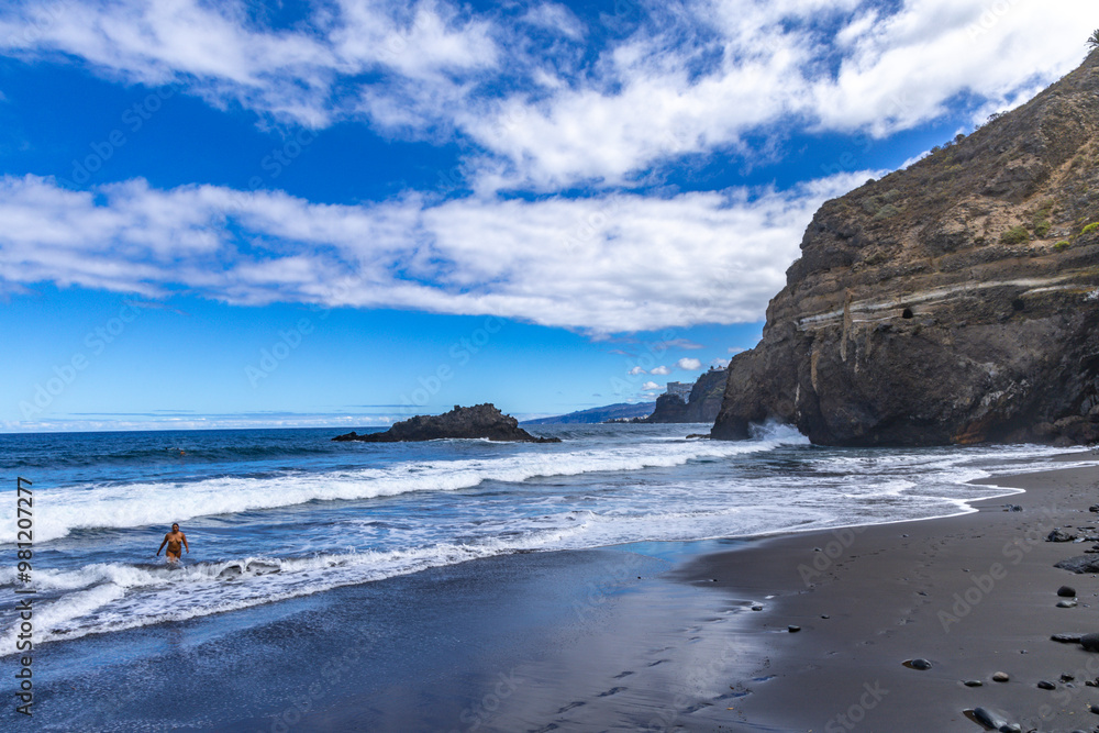 Playa de Castro, tall palm trees, banana trees, black volcanic sand, landscape of the coast of Tenerife, Playa de Castro, tall palm trees, banana trees, black volcanic sand, landscape of the coast of Tenerife,