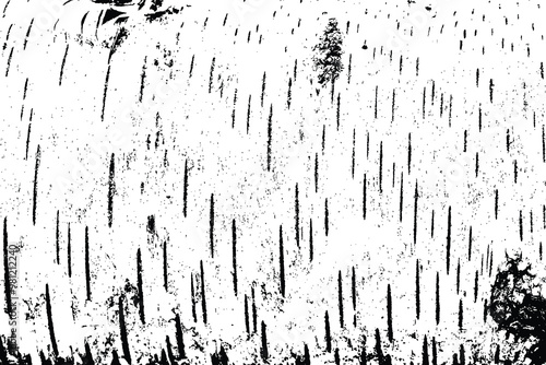 White black wood texture vector trace. Old wood texture flat surface. Real wooden surface background bark. Top view plank.