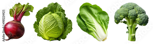 Fresh green vegetables png cut out element set