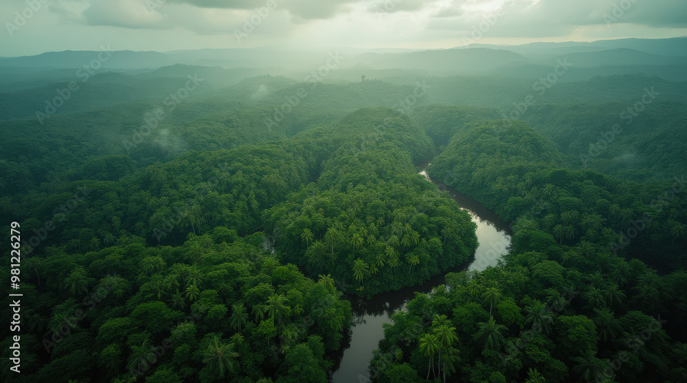 Fototapeta premium Aerial View of the Majestic Amazon Rainforest: Dense Greenery, Winding Rivers, and Pristine Wilderness