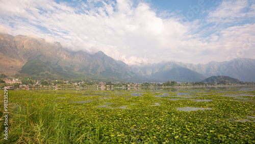 Dal Lake at Srinagar, Kashmir, India