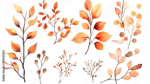 PNG watercolor Autumn branch element set, transparent background