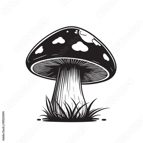  Fresh natural Mushrooms vector illustration 