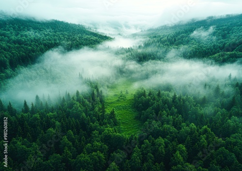 Lush green forest blanketed with morning mist, creating a serene and tranquil atmosphere, suitable for nature and travel-themed promotions, photo