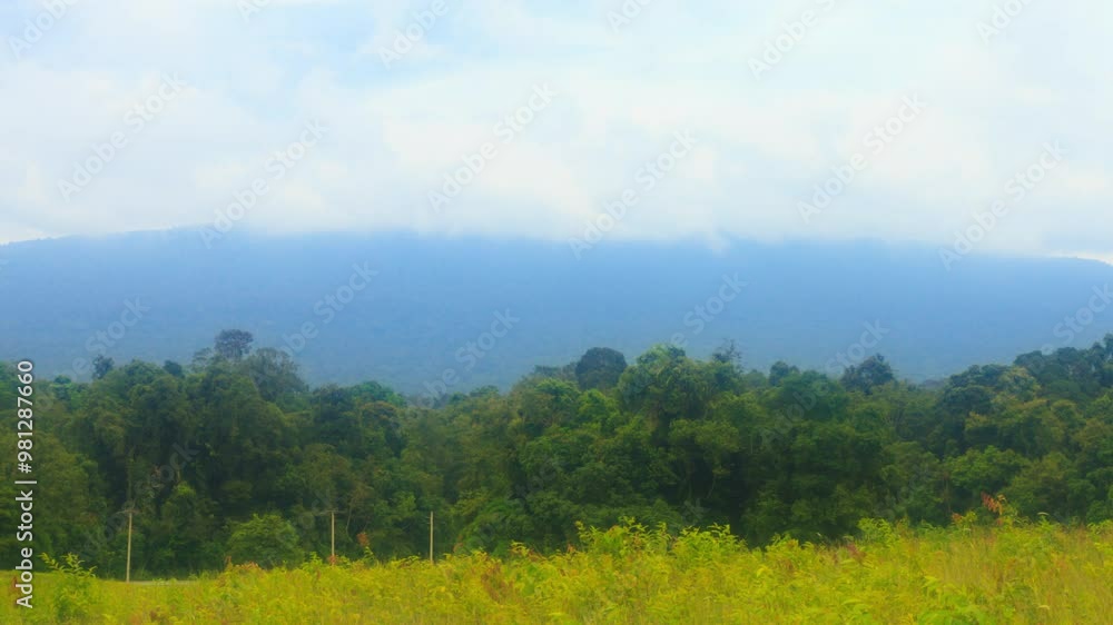 Time lapse landscape of a forest, mountain and sky with a camera's soft filter attached. 4k 3840x2160, wide shot, tilt down. can be establishing shot. Time lapse landscape of a forest, mountain and sky with a camera's soft filter attached. 4k 3840x2160, wide shot, tilt down. can be establishing shot.