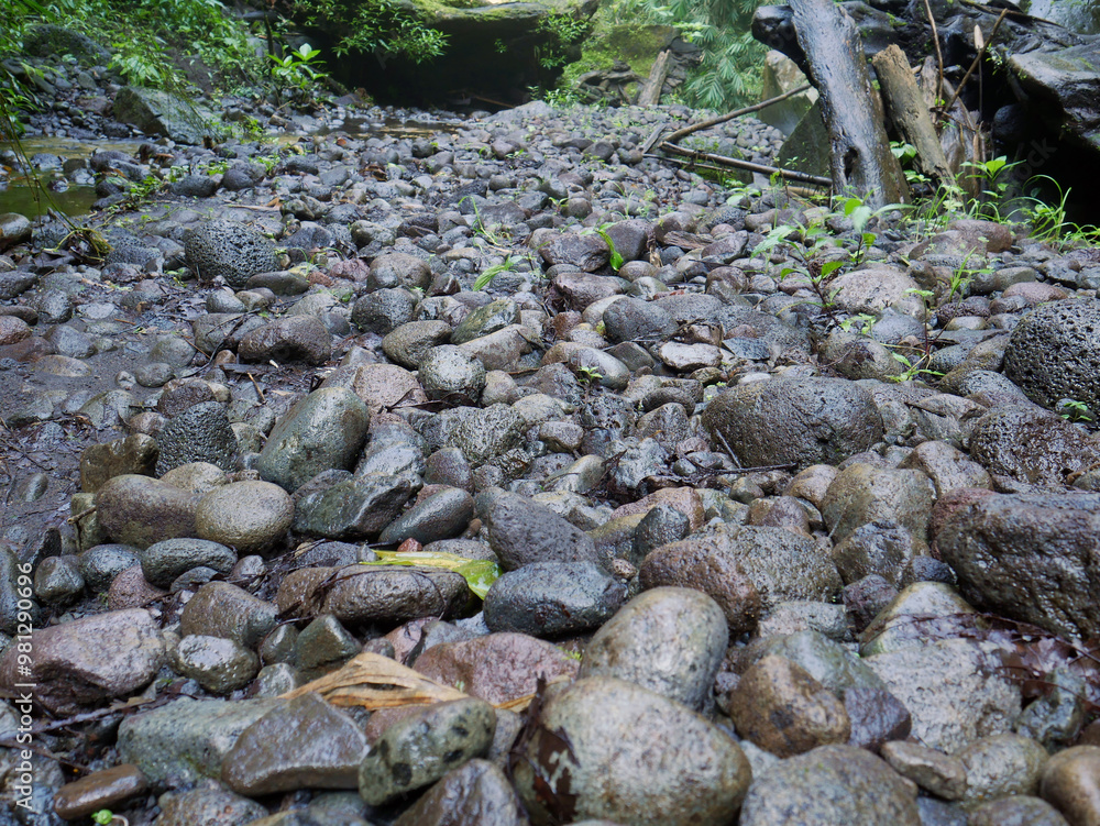 River stone in a tropical forest River stone in a tropical forest