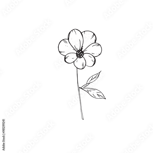  Graphic flowers. Hand draws graphic illustrations on a white background. Graphic flowers for design