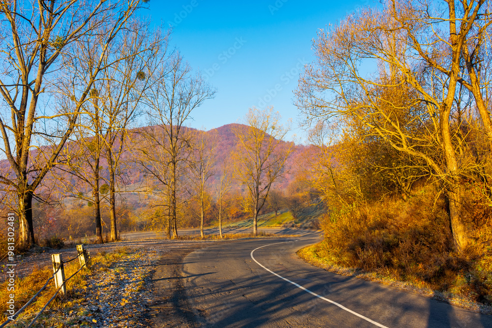 Obraz premium asphalt country road in mountain in autumn. leafless forest on the hill in fall season. sunny morning. trip through countryside of ukraine