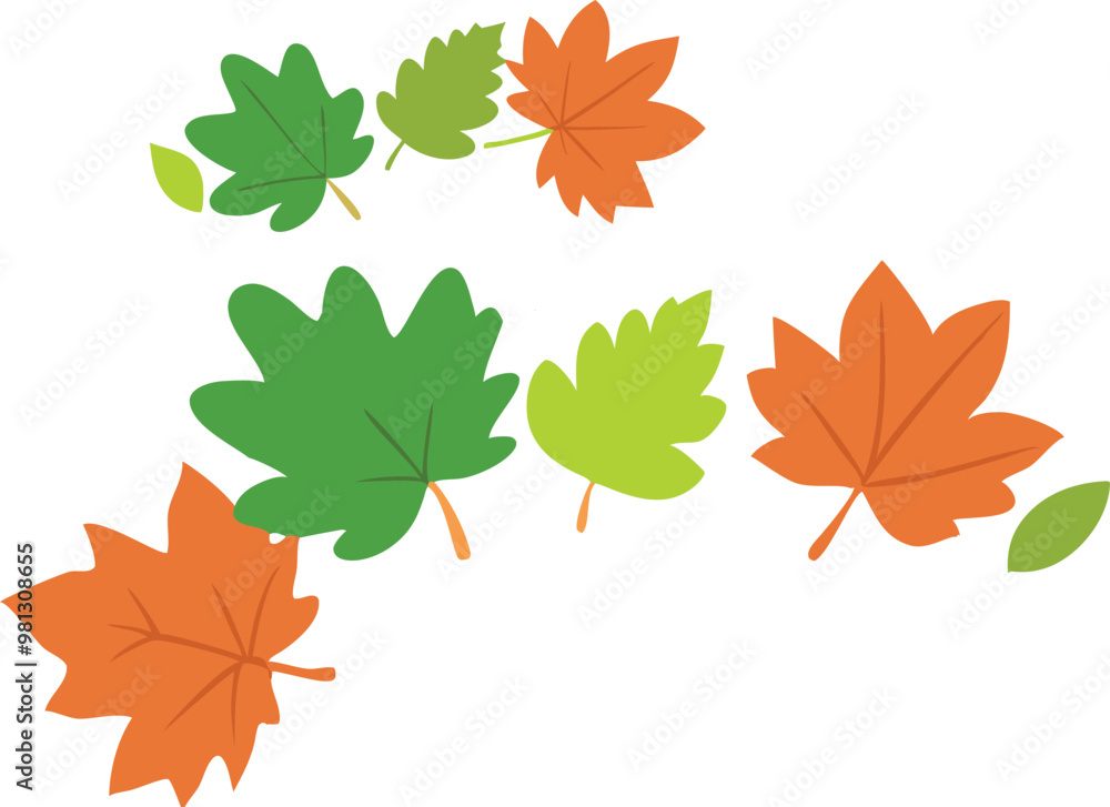 Fototapeta premium autumn leaves isolated on white