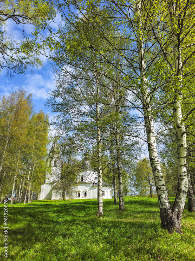 Green park. Assumption Cathedral. Plyos. Russia. Green park. Assumption Cathedral. Plyos. Russia.