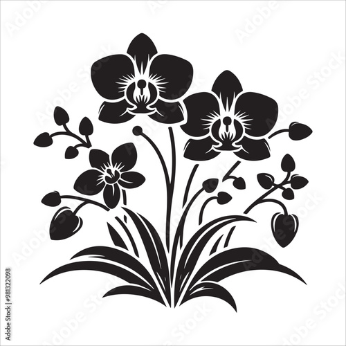 Orchid flower vector art illlustration