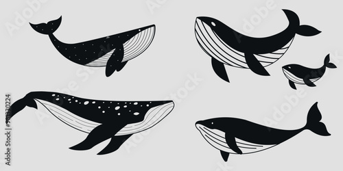 Set of black and white whales. Vector on a gray background