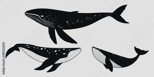 Set of black and white whales. Vector on a gray background