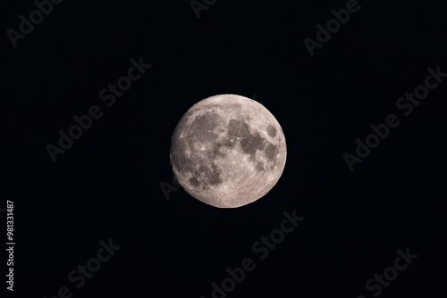 Round Moon Floating in the Night Sky