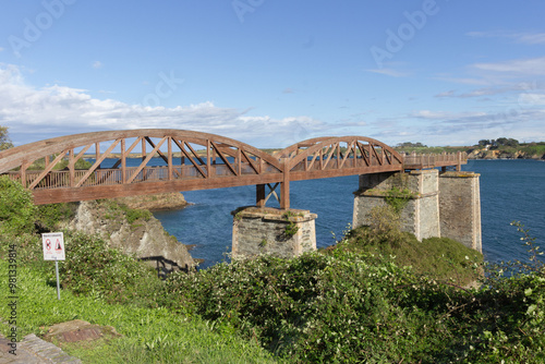 Ocean wooden pedestrian bridge with lush greenery and blue sky.