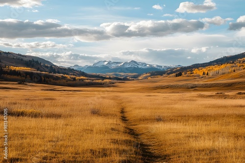 Mountain View with Pathway Through Field