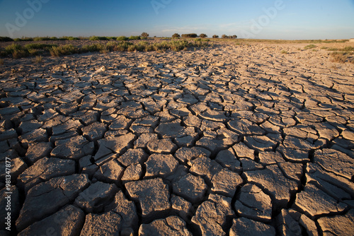 Cracked Soil in Dried Marshland of Sanlucar De Barrameda, Spain