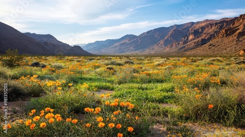 A stunning landscape featuring vibrant orange flowers in a vast valley, surrounded by majestic mountains under a clear blue sky. photo