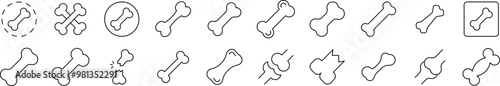 Bones Icon Set for UI, Placards, Books, Apps. Editable Stroke. Suitable for Web Sites, Books, Cards, Apps