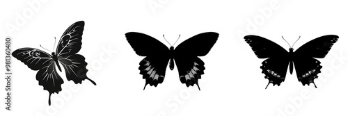 Set of elegant butterfly silhouette vector overlay isolated on a transparent background