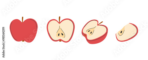 Red apple hand drawn set. Whole apple, chopped and cutted fruit, half, slice of apple.