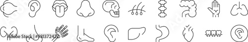 Internal Organs Pack of Thin Icons. Editable Stroke. Suitable for Web Sites, Books, Cards, Apps