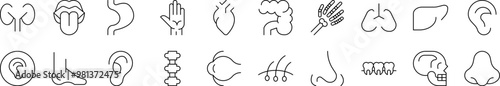 Internal Organs Related Line Icons for Web Sites, Books, Cards, Apps. Editable Stroke. Suitable for Web Sites, Books, Cards, Apps
