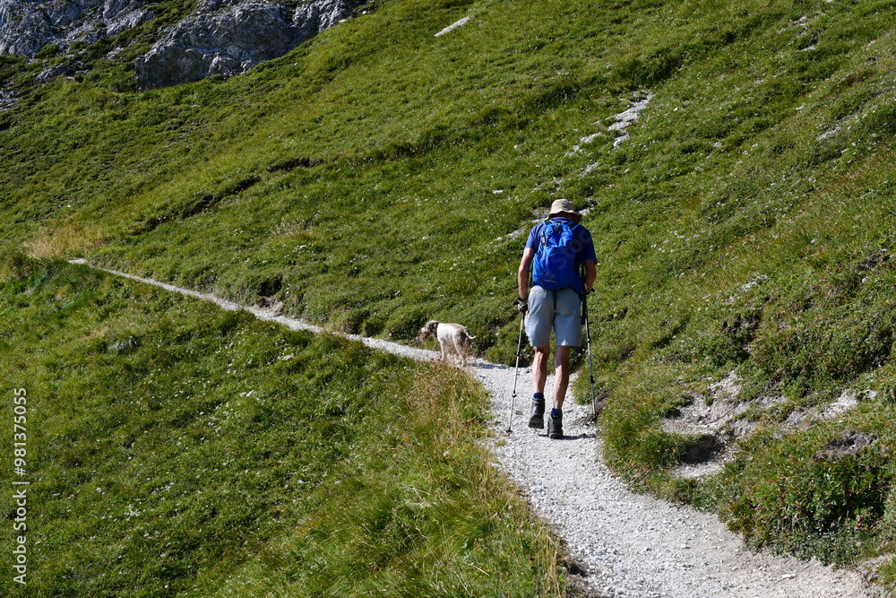 Mann und sein Lagotto Romagnolo Hund wandern im Stubaital
