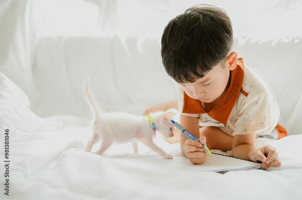 3 years old asian boy is drawing a picture of his cat in living room