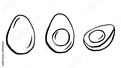 Eggs set doodle drawing, boiled eggs outline illustration, simple sketch vector illustration, black line on a white background