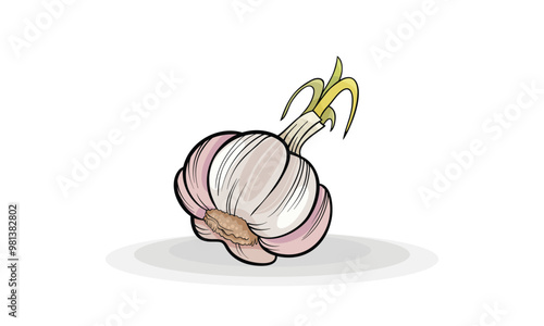 garlic vector design. Tomato, broccoli, carrot, onion, radish, beetroot, pepper, cucumber, potato, mushroom, eggplant, pea, Funny. Vegetable Vector Elements on white background. Vegetarian Diet Food