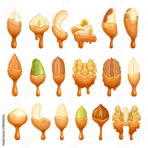 Nut as Edible Seed with Dripping Chocolate or Caramel Melting Liquid Vector Set