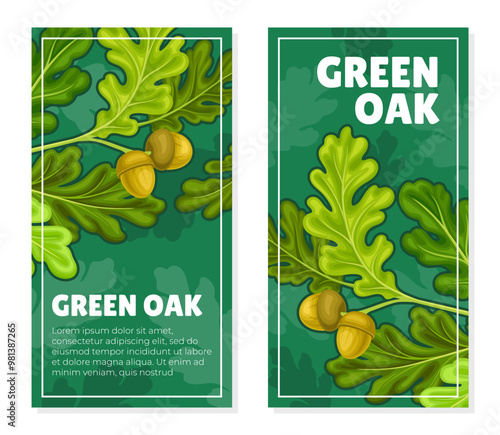 Green Oak Nature Banner Design with Tree Branch and Acorn Vector Template