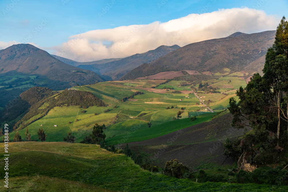 Fototapeta premium Andean landscape, cultivated fields