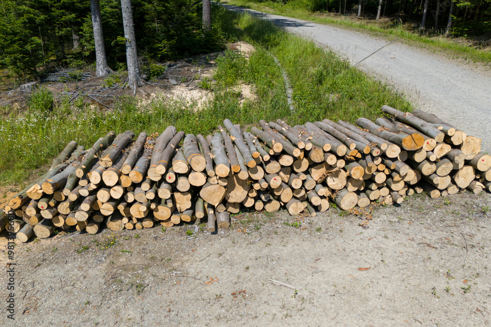 Stack of freshly cut logs arranged neatly by a gravel road surrounded by lush greenery, ideal for forestry or construction projects. Stack of freshly cut logs arranged neatly by a gravel road surrounded by lush greenery, ideal for forestry or construction projects.
