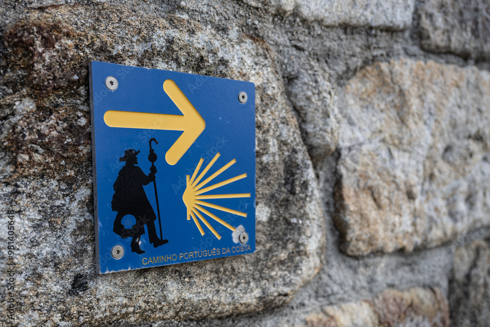 Sig for el camino de Santiago on a rock