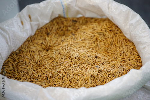 bag full of birdseed at a production cooperative in Rio de Janeiro. photo