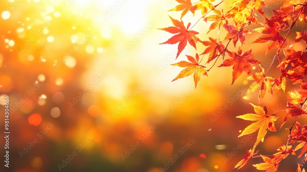 Orange maple leaves creating a warm autumn background Orange maple leaves creating a warm autumn background