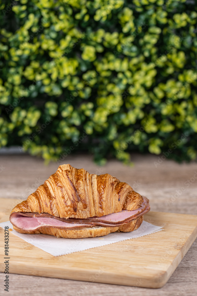 Ham and cheese sandwich
