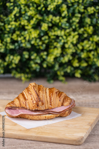 Ham and cheese sandwich