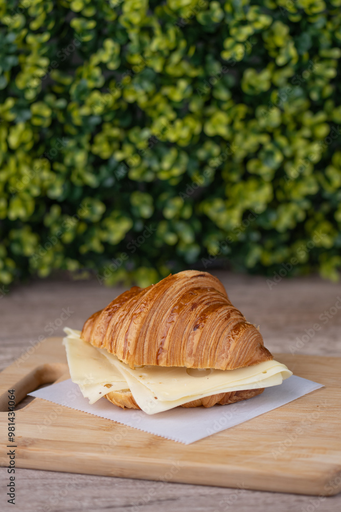Cheese croissant on a plate
