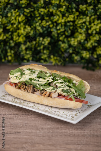 Obraz na płótnie Chicken and arugula sandwich on a plate
w salonie